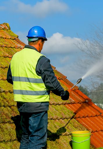 Pose de revêtements peintre-toiture